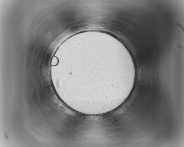 X0000103901374200810171603