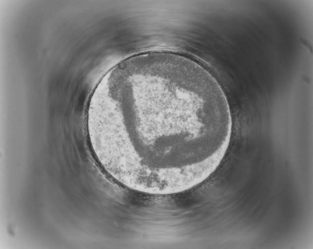 X0000103901375200810171603