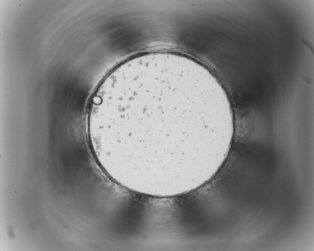 X0000103901376200810171603