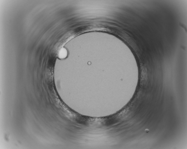 X0000103901377200810171603