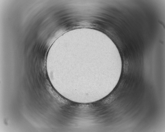 X0000103901378200810171603