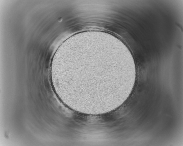 X0000103901379200810171603