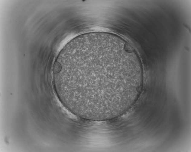 X0000103901381200810171603