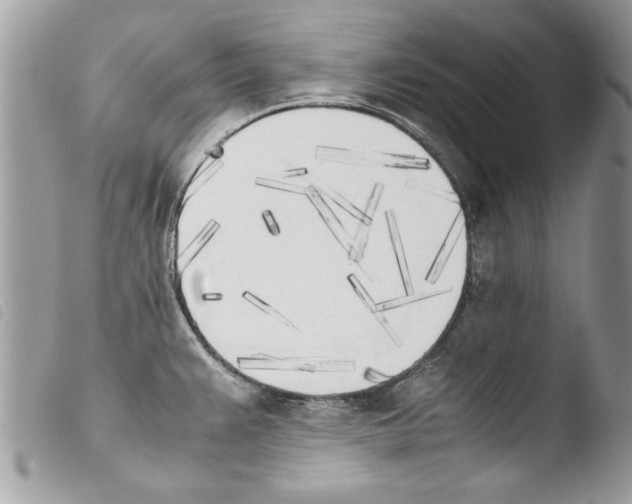 X0000103901383200810171603