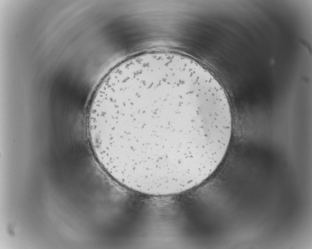 X0000103901384200810171603