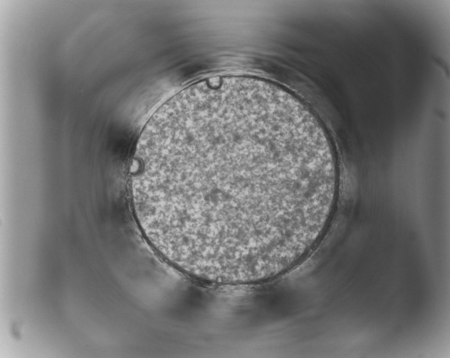 X0000103901385200810171603