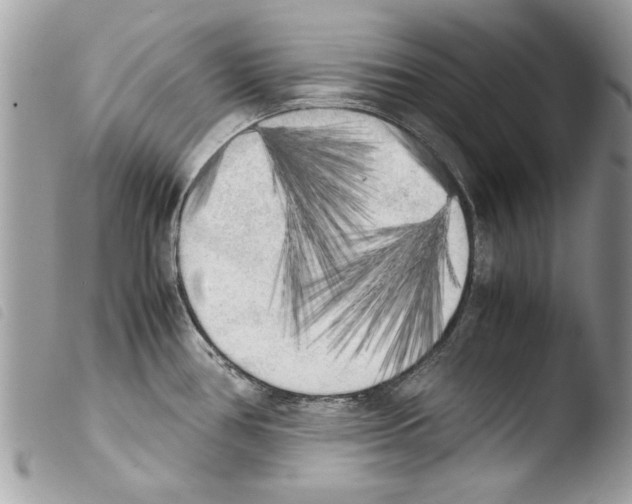 X0000103901386200810171603