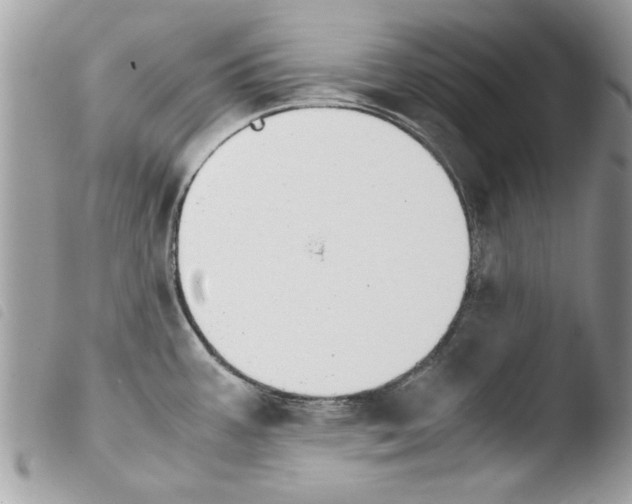 X0000103901387200810171603