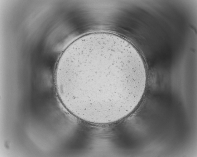 X0000103901388200810171603