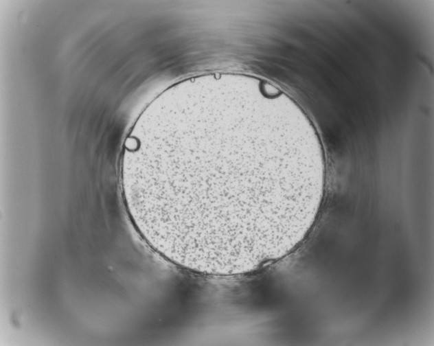 X0000103901389200810171603