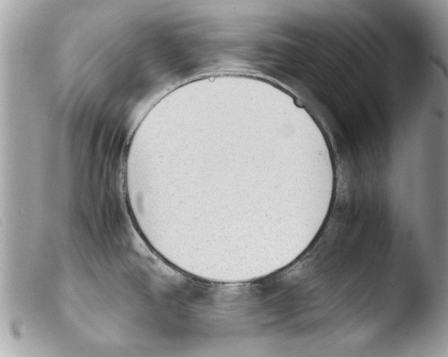 X0000103901390200810171603