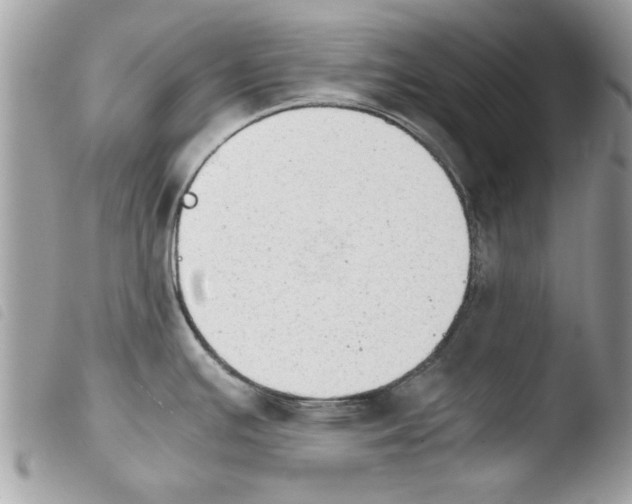 X0000103901391200810171603