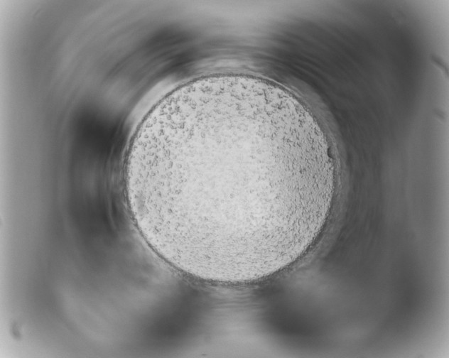 X0000103901392200810171603