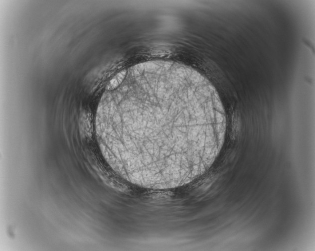 X0000103901394200810171602