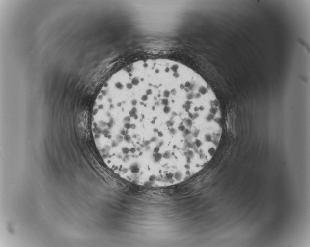 X0000103901396200810171602