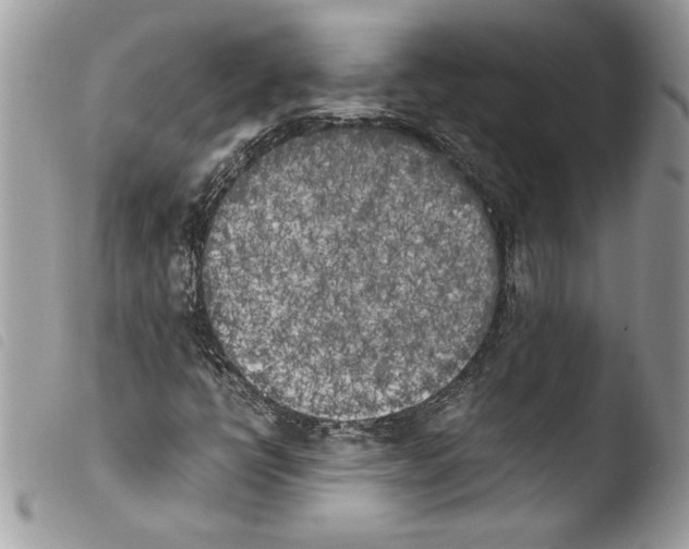 X0000103901398200810171602