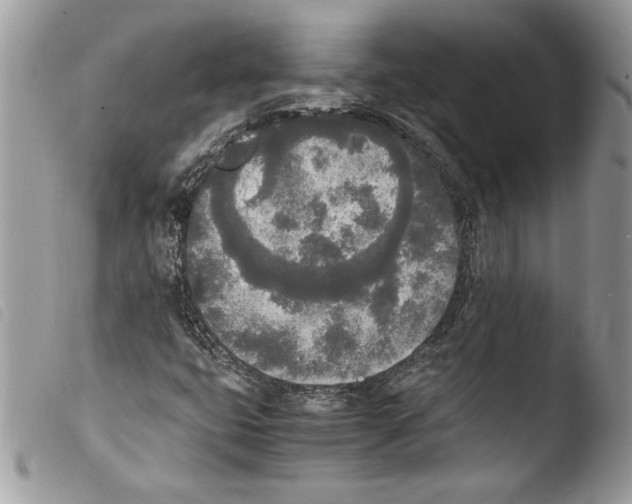 X0000103901399200810171602