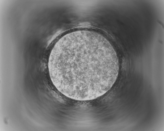 X0000103901400200810171602