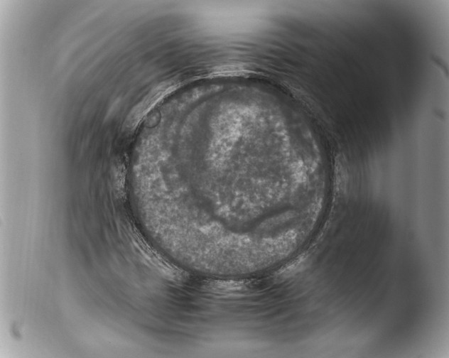 X0000103901401200810171602