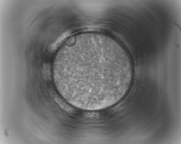 X0000103901403200810171602