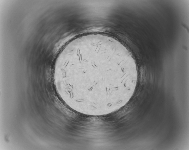 X0000103901404200810171603