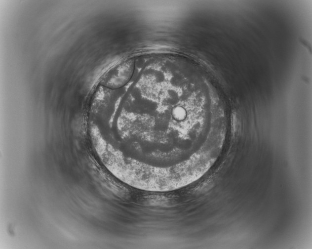 X0000103901405200810171603