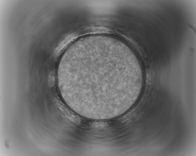 X0000103901407200810171603