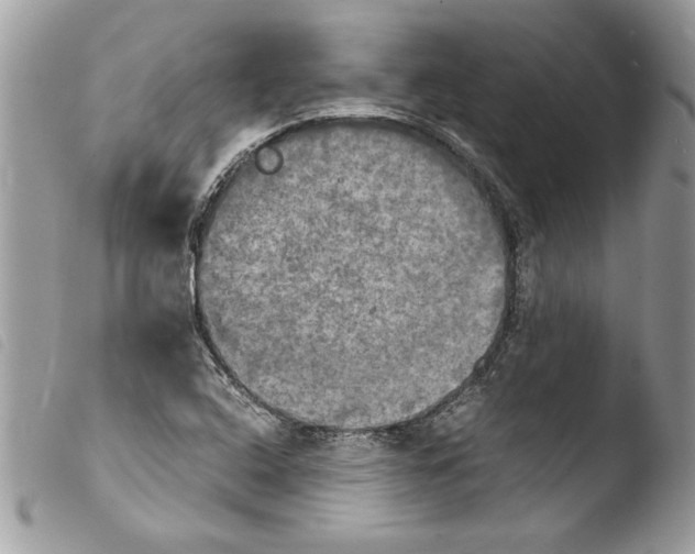 X0000103901408200810171603