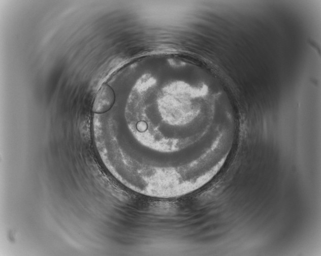 X0000103901409200810171603