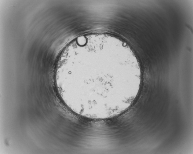 X0000103901410200810171603