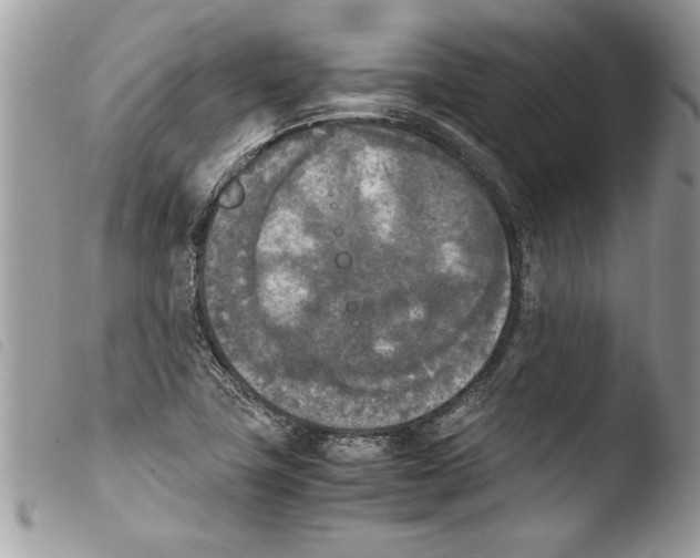 X0000103901411200810171603