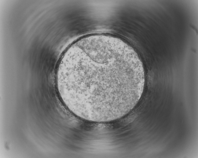 X0000103901412200810171603