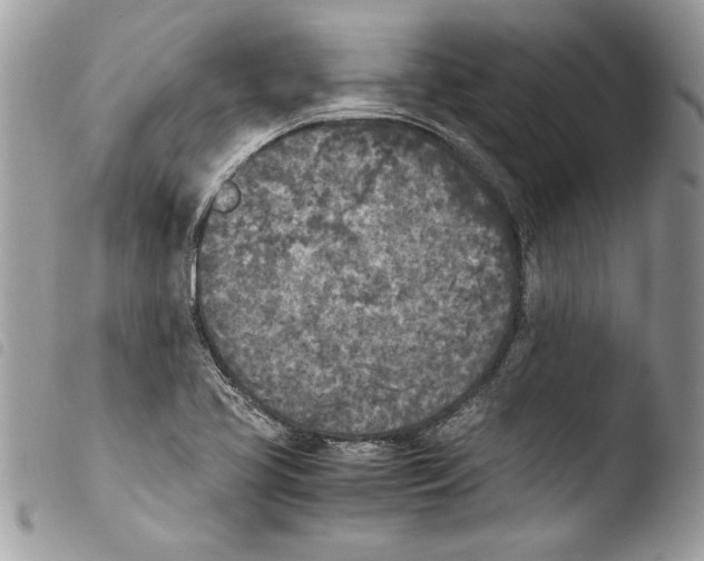 X0000103901413200810171603