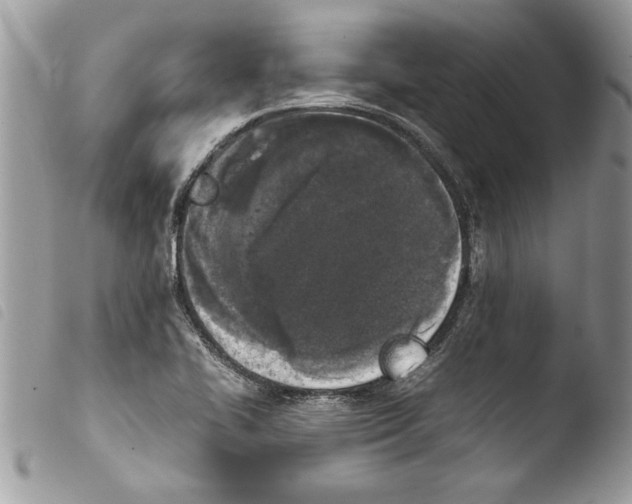 X0000103901414200810171603