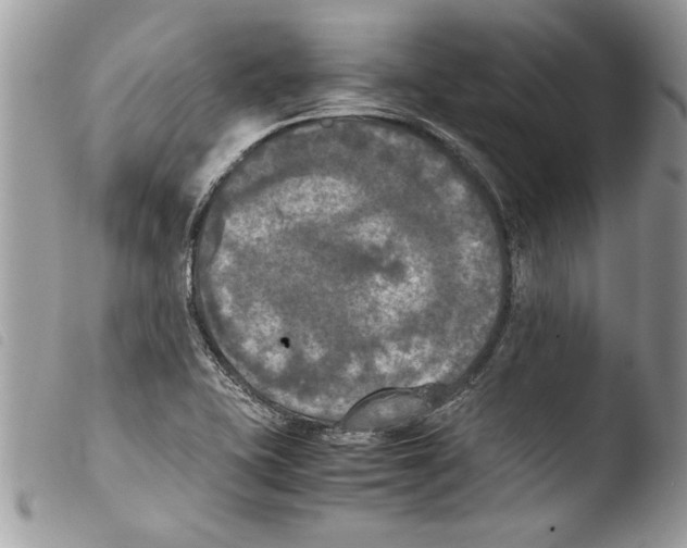 X0000103901415200810171603