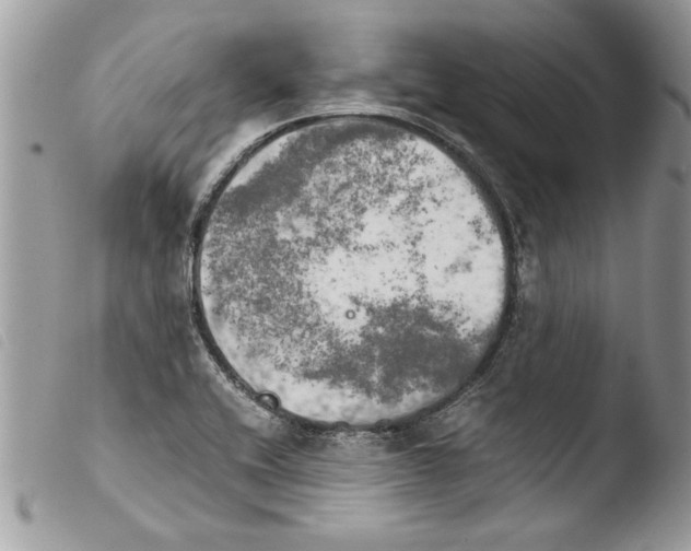 X0000103901416200810171603