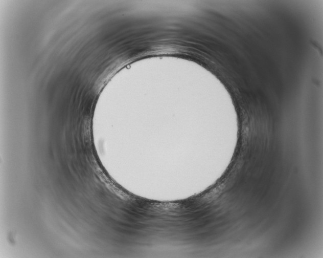 X0000103901417200810171603