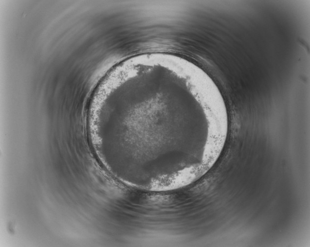 X0000103901419200810171603