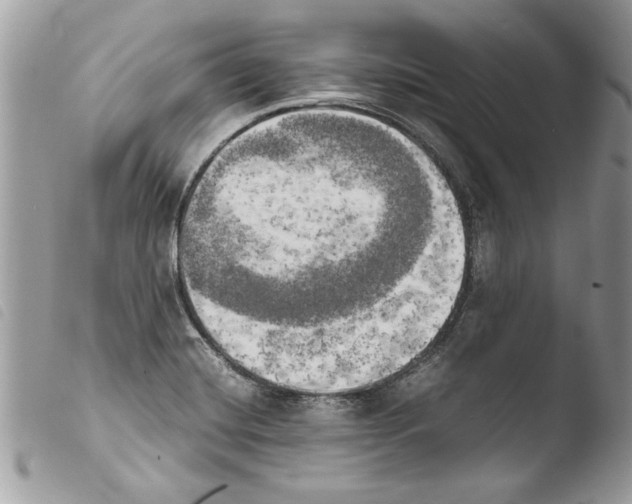 X0000103901420200810171603