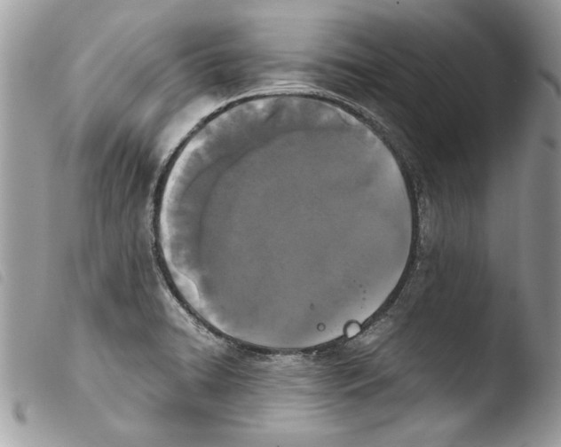 X0000103901422200810171603