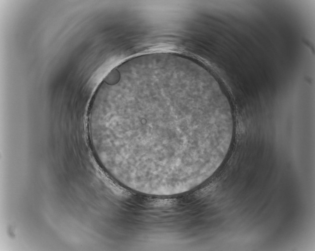 X0000103901423200810171603