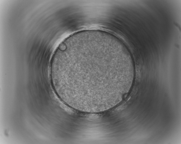 X0000103901424200810171603