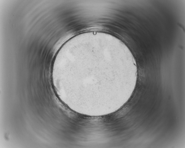 X0000103901426200810171603