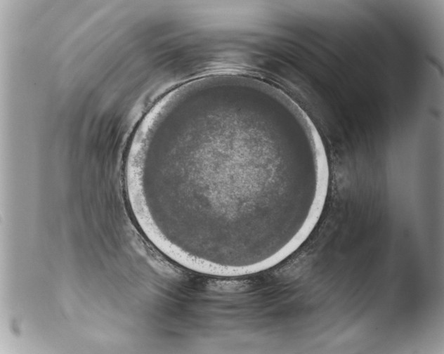 X0000103901427200810171603