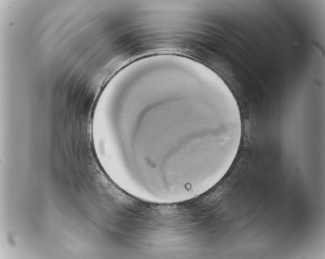 X0000103901428200810171603