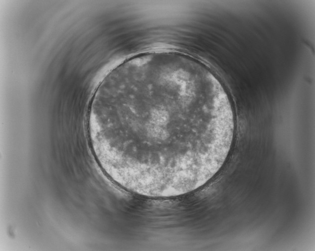 X0000103901429200810171603