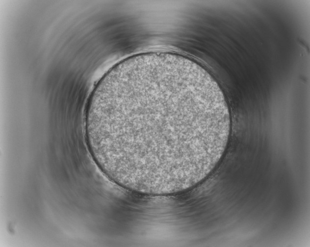 X0000103901430200810171603