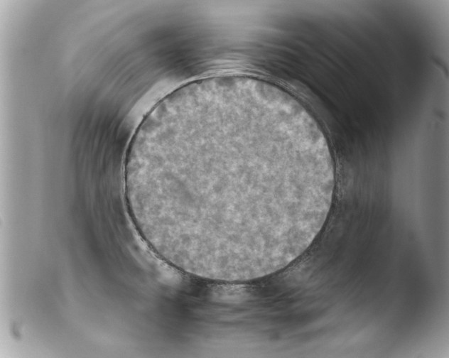 X0000103901431200810171603