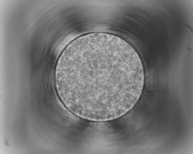 X0000103901432200810171603