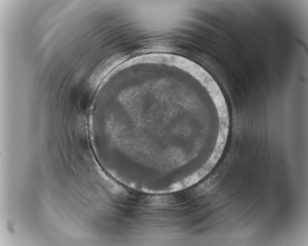 X0000103901433200810171603